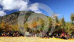 Tractor Farm Equipment Pumpkin Rural Landscape British Columbia