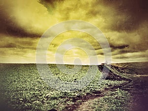 Tractor on farmland