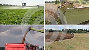 Tractor fertilize plow field. Combine harvest wheat. Collage