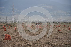 Tractor on a field