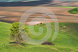 Tractor in a field