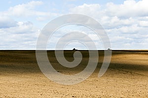 Tractor in the field
