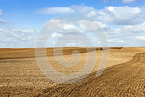 Tractor in the field