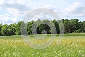 Tractor in a field