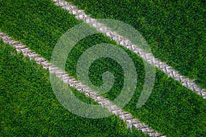 Tractor fresh trace on the field