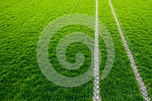 Tractor fresh trace on the field