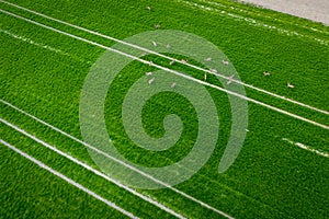 Tractor fresh trace on the field