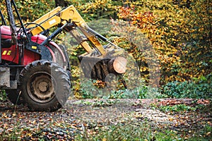 Tractor with grapple in forest. Lumber industry