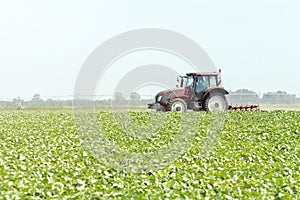 Tractor in the green field. Agriculture machine.