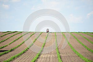 tractor on the green field and blue sky