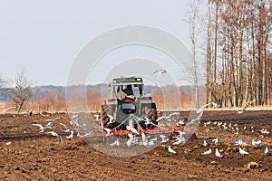 Tractor harrows on a field at spring