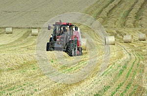 Tractor harvesting hay