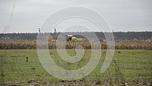 Tractor harvests corn in the field in autumn