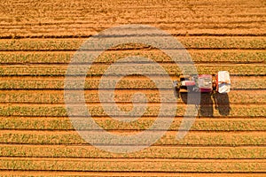 Tractor hauling a Two disc Fertilizer spreader in a large field