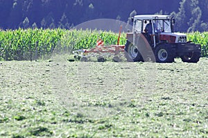 Tractor with hay tedder working on a mountain field