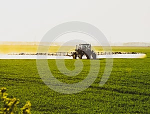 tractor with the help of a sprayer liquid fertilizers on young wheat in the field