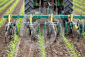 Tractor hoeing soil between corn rows