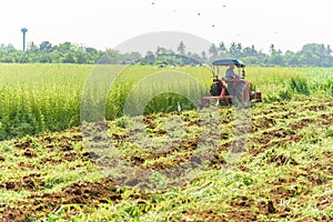 Tractor Incorporation the Green manure