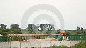 Tractor loader loads wagons with wooden chips, industrial