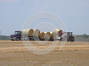 Tractor loading large round hey bails onto semi truck trailer for transport