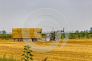 tractor loads hay bales on trailer