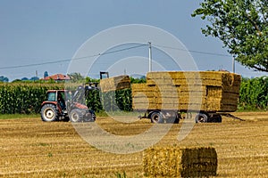 tractor loads hay bales on trailer