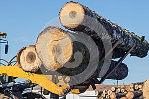 Tractor with logs