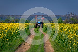 Tractor machine used in agriculture on a dirt road between two canola cozla fields