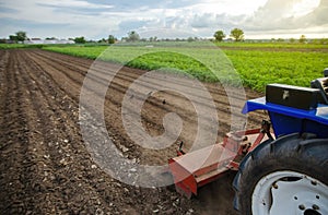 A tractor with a milling machine is cultivating a farm field. Loose crushed moist soil after cultivating with a cultivator