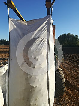 Tractor moving big bags of potatoes