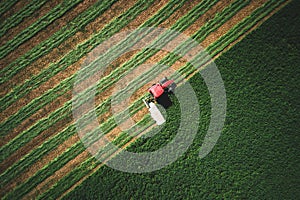 Tractor mowing green agriculture field, aerial drone view