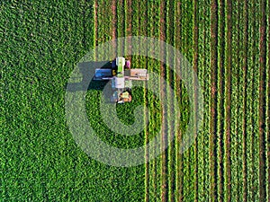 Tractor mowing green field