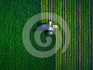 Tractor mowing green field