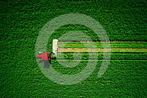 Tractor mowing green agriculture field, aerial drone view