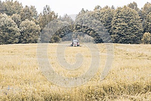 Tractor mows the grass. harvesting hay for the winter