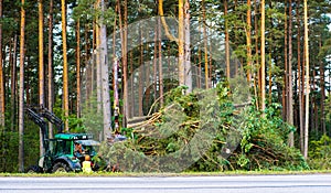 Tractor near road removes a sawn trees. Heavy equipment.