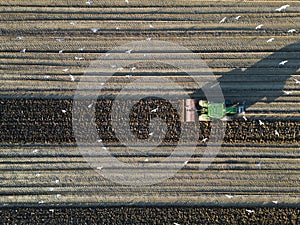 A tractor ploughing a field