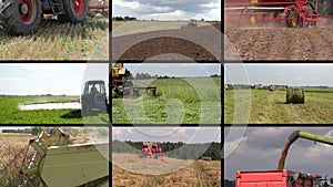 Tractor plow spray field, cut grass, harvest wheat. Clip collage