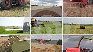 Tractor plow spray field, cut grass, harvest wheat. Collage