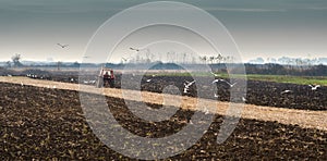 Tractor with a plow working in field