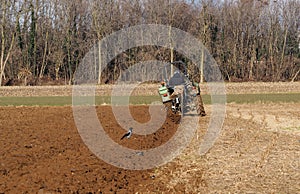 Tractor is plowing the agricultural field in preparation for spring sowing