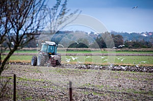 Tractor plowing a field