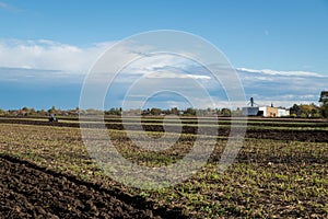 Tractor plowing fields - preparing land for sowing