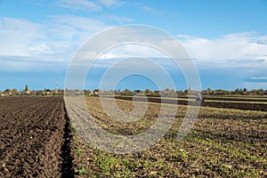 Tractor plowing fields - preparing land for sowing