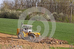 A tractor plows a field with seedbed cultivator in early spring