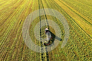 Tractor raking grass for silage harvesting. Agriculture machinery working at field. Grass Silage for animal feeding on the farm.