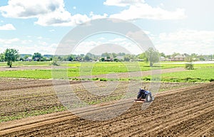 A tractor rides on a farm field. Loosening the surface, cultivating the land for further planting. Farming and agriculture. Farmer