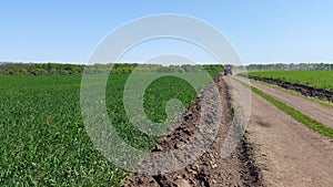 tractor rides on the road among fields of green wheat