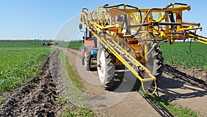 the tractor on the road among fields of green wheat