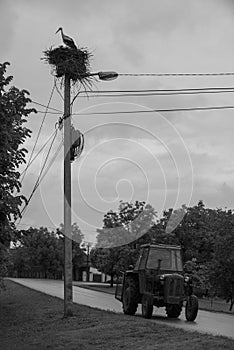 Tractor on a Road and Stork on its nest